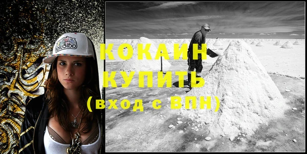 прущие грибы Карталы